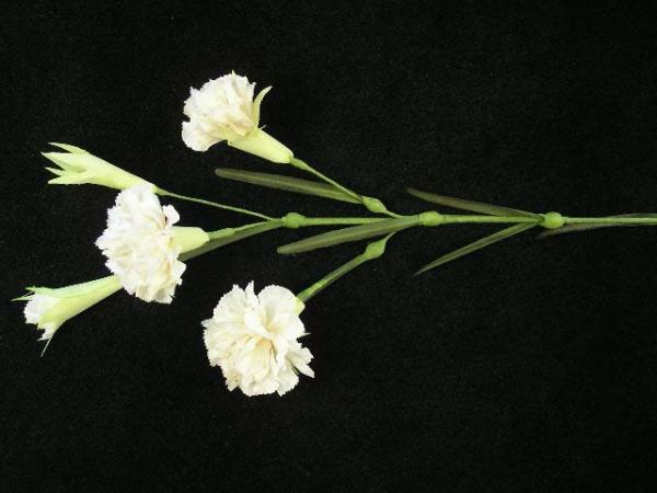 Handwrap Carnation, Navajo White (Lot Of 12)  |   Silk Flowers Silk Flowers Silk Flowers