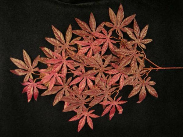 Japanese Maple Spray (Lot Of 12)  |   Artificial Greenery, Foliage And Leaves Artificial Greenery, Foliage And Leaves Artificial Greenery, Foliage And Leaves