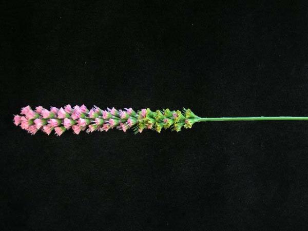 Liatris, Pink (Lot Of 12)  |   Silk Flowers Silk Flowers Silk Flowers