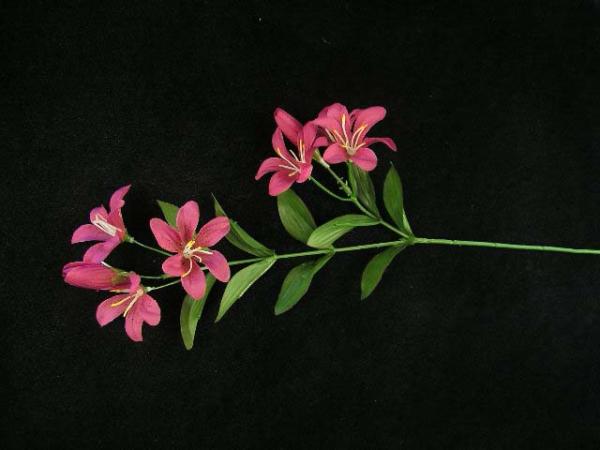 Tiger Lily, Burgundy (Lot Of 24)  |   Silk Flowers Silk Flowers Silk Flowers